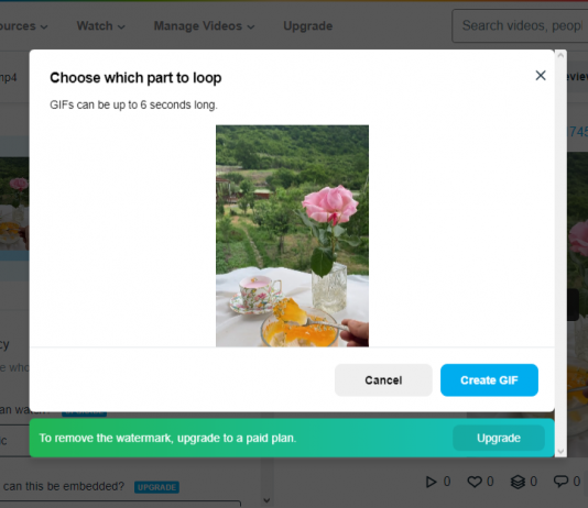 How To Make GIF From A Video On Vimeo How To Make GIF From A Video On Vimeo