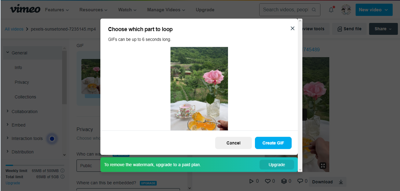 How To Make GIF From A Video On Vimeo