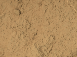 Curiosity Rover Finds Mars’ Largest Organic Molecules Yet This animated image shows a close-up view of a flat, dusty, tan-colored rock surface with fine cracks and small, dark specks scattered across it. In the animation, a hole appears in the center of the frame, with loose powdered material surrounding the hole. The surrounding rock surface remains unchanged, highlighting the freshly drilled hole and the fine texture of the rock.