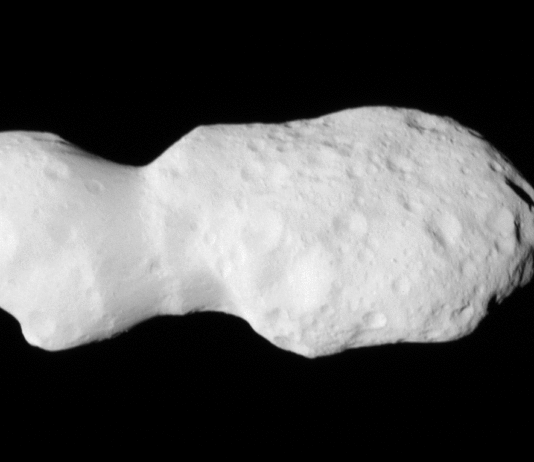 NASA’s Lucy Captures Images of Asteroid Donaldjohanson Gif of Asteroid Donaldjohanson, as seen by the Lucy spacecraft during its close flyby. The asteroid looks like two lobes, attached by a thinner cylinder, like a barbell with very large weights. One lobe is smaller than the other. Although they are both about the same circumference, the smaller lobe is less wide than the other. The asteroid is a smooth, light gray surface, with smooth-edged craters dimpling its surface. The larger lobe has many more craters. The asteroid moves closer to the camera, pushing in on the larger lobe. Then it rotates slightly to look along the asteroid long-ways.
