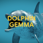 Google AI’s DolphinGemma: Unraveling Dolphin Communication Uniquely DolphinGemma: How Google AI is helping decode dolphin communication