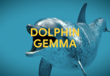 Google AI’s DolphinGemma: Unraveling Dolphin Communication Uniquely DolphinGemma: How Google AI is helping decode dolphin communication