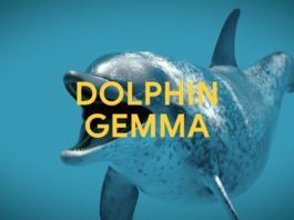 Google AI’s DolphinGemma: Unraveling Dolphin Communication Uniquely DolphinGemma: How Google AI is helping decode dolphin communication