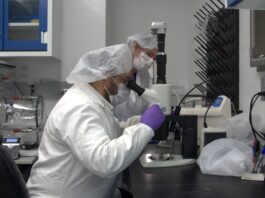 NASA to Reveal Results of Asteroid Sample Mission NASA to Brief Media on Asteroid Sample Mission Findings - NASA