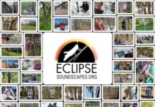 Eclipse Soundscapes Project Webinar: NASA Shares Initial Findings Collage of people participating in the Eclipse Soundscapes project, shown observing nature, collecting data, and interacting with the environment in various outdoor settings. At the center is the Eclipse Soundscapes logo, featuring a silhouette of a katydid against a black circle with a glowing orange and yellow rim, and the text