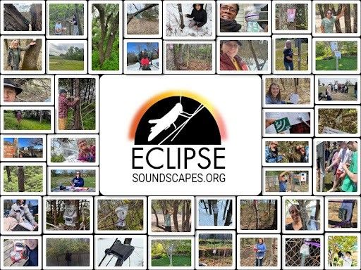 eclipse soundscapes collage.jpg Collage of people participating in the Eclipse Soundscapes project, shown observing nature, collecting data, and interacting with the environment in various outdoor settings. At the center is the Eclipse Soundscapes logo, featuring a silhouette of a katydid against a black circle with a glowing orange and yellow rim, and the text