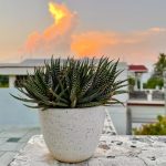 How To Shoot And Edit Dramatic Summer Light On iPhone Shoot And Edit Dramatic Summer Light On iPhone