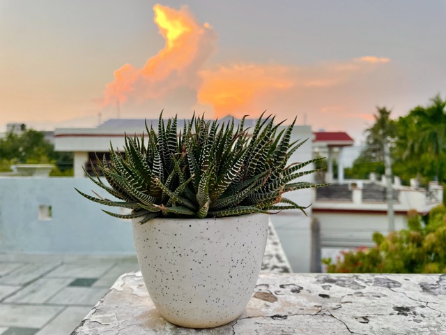 Shoot And Edit Dramatic Summer Light On iPhone