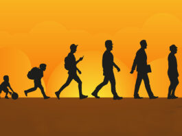 IAEA Assists FAO and WHO in Studying Calorie Requirements Understanding Human Calorie Needs: IAEA Supports FAO and WHO