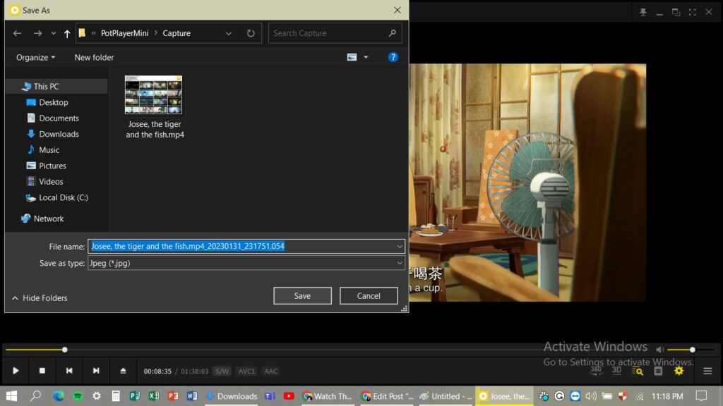 Free Tools To Capture Images From Video Files