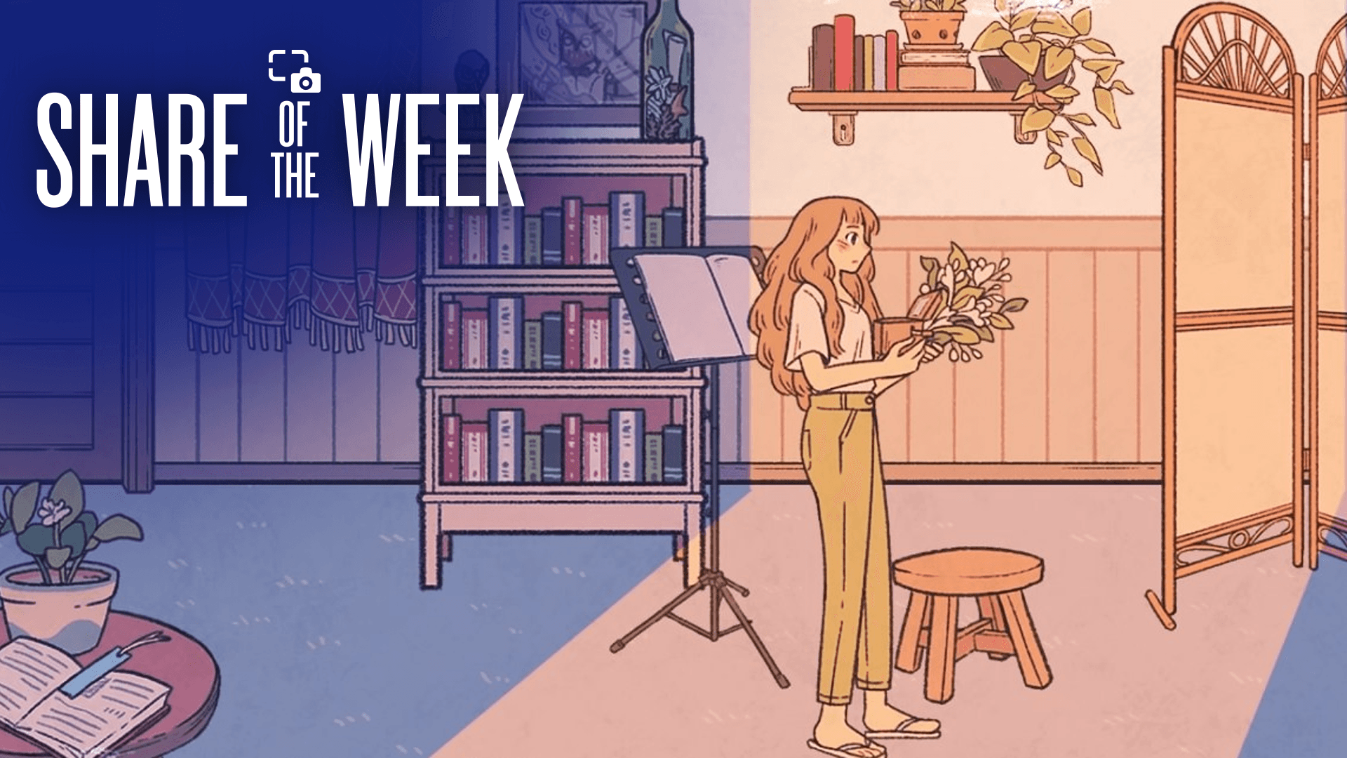 Share of the Week: Cozy