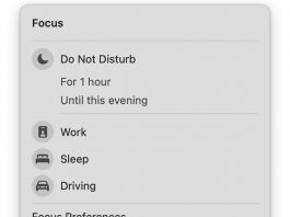 How To Turn Off Sound For Time Sensitive Alerts in macOS? time sensitive alerts in MacOS