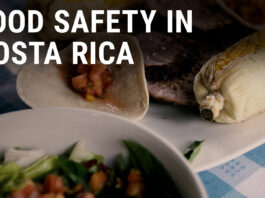 Alternative Perspectives on Home Home