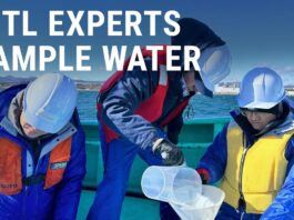 Alternative Living Solutions: Exploring Unique Housing Options Home