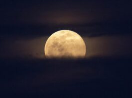 Upcoming Full Moon: Partial Eclipse, Supermoon, Corn & Harvest Moon NASA Logo