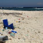 NUTEC Plastics Project Safeguards Galapagos Biodiversity NUTEC Plastics Initiative Helps Protect Biodiversity in the Galapagos