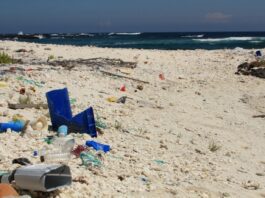 NUTEC Plastics Project Safeguards Galapagos Biodiversity NUTEC Plastics Initiative Helps Protect Biodiversity in the Galapagos