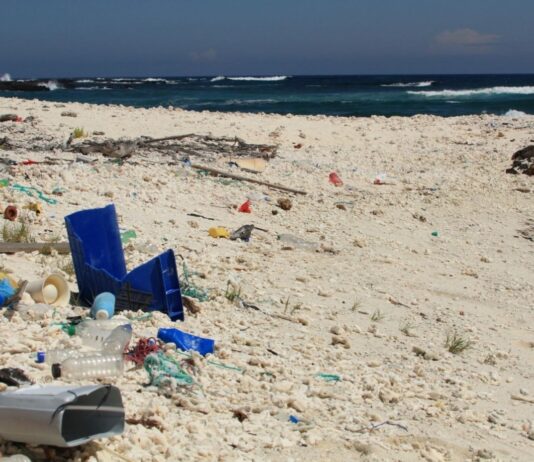 NUTEC Plastics Project Safeguards Galapagos Biodiversity NUTEC Plastics Initiative Helps Protect Biodiversity in the Galapagos