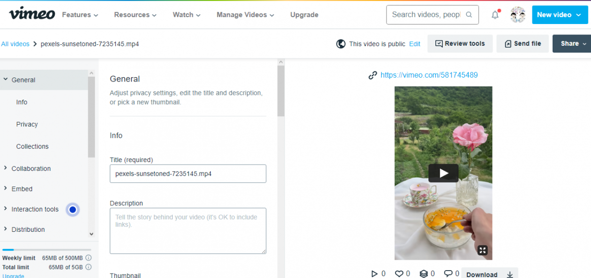 How To Make GIF From A Video On Vimeo