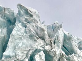 Snow Days Inspired Linette Boisvert’s Journey to Sea Ice Science – NASA Linette Boisvert sits on a large light blue glacier with her arms stretched out to both sides.