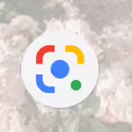 New Google Chrome Version 128.0.6613.85: With Powerful Google Lens Integrated gogole lens chrome