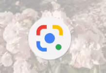 New Google Chrome Version 128.0.6613.85: With Powerful Google Lens Integrated gogole lens chrome