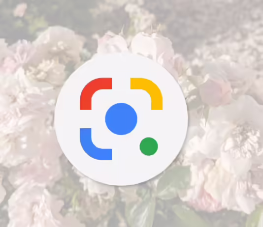 New Google Chrome Version 128.0.6613.85: With Powerful Google Lens Integrated gogole lens chrome