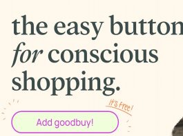 How To Install The Goodbuy Browser Extension On Google browser extension