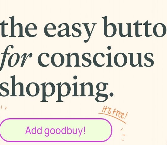 How To Install The Goodbuy Browser Extension On Google browser extension