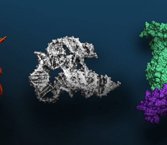 NVIDIA BioNeMo Releases Large-Scale Model for Biomolecular Research visualization of DNA, RNA, protein data
