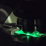 IQVIA, NVIDIA Unite to Speed Up Clinical Research Using AI IQVIA and NVIDIA Harmonize to Accelerate Clinical Research and Commercialization With AI Agents