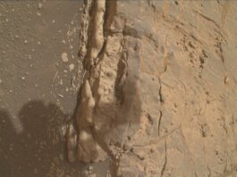 Martian Moon Meets Earth: NASA Science Sols 4295-4296 NASA Logo