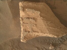 NASA Science: Successful Weekend Leads to Promising Monday Sols 4355-4356: Weekend Success Brings Monday Best - NASA Science