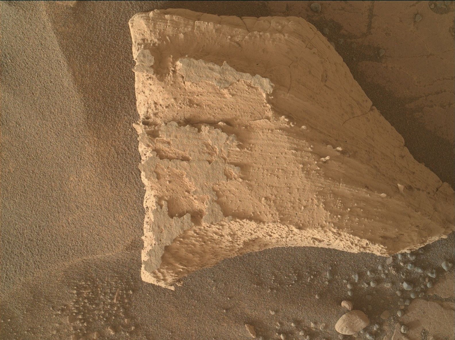 Sols 4355-4356: Weekend Success Brings Monday Best - NASA Science