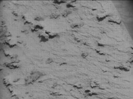 NASA Discoveries: Abundance of Martian Ripples, Nodules, and Veins Sols 4389-4390: A Wealth of Ripples, Nodules and Veins - NASA Science