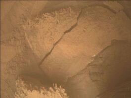 NASA’s Rover Plans Deck Maintenance and Sequences Over Holidays Sols 4402-4415: Rover Decks and Sequence Calls for the Holidays - NASA Science