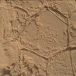 February Fours: Sols 4443-4444 Explored by NASA Science A color image showing a pale tan-orange rock surface, which is smooth in some areas and rough, and layered in others, like a stucco wall. Resting atop the surface are lines creating various shapes – a hexagon dominating the image center, a diamond nestled below that, others off to the lower right and right sides of the image. These lines trace areas making them look like walled gardens viewed overhead from a great height.