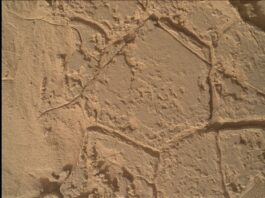 February Fours: Sols 4443-4444 Explored by NASA Science A color image showing a pale tan-orange rock surface, which is smooth in some areas and rough, and layered in others, like a stucco wall. Resting atop the surface are lines creating various shapes – a hexagon dominating the image center, a diamond nestled below that, others off to the lower right and right sides of the image. These lines trace areas making them look like walled gardens viewed overhead from a great height.