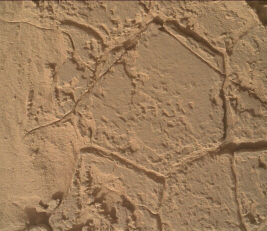 February Fours: Sols 4443-4444 Explored by NASA Science A color image showing a pale tan-orange rock surface, which is smooth in some areas and rough, and layered in others, like a stucco wall. Resting atop the surface are lines creating various shapes – a hexagon dominating the image center, a diamond nestled below that, others off to the lower right and right sides of the image. These lines trace areas making them look like walled gardens viewed overhead from a great height.