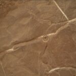 Preparing to Drill at Altadena: Sols 4561-4562 Update A color image from the Martian surface shows a close-up of brownish-orange ground, flat but uneven, with whitish grooves crisscrossing the surface. At center a small, bullseye-shaped indentation has been dug into the rock.