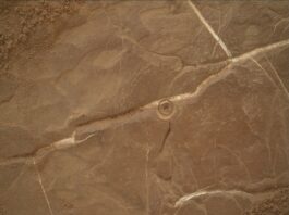Preparing to Drill at Altadena: Sols 4561-4562 Update A color image from the Martian surface shows a close-up of brownish-orange ground, flat but uneven, with whitish grooves crisscrossing the surface. At center a small, bullseye-shaped indentation has been dug into the rock.