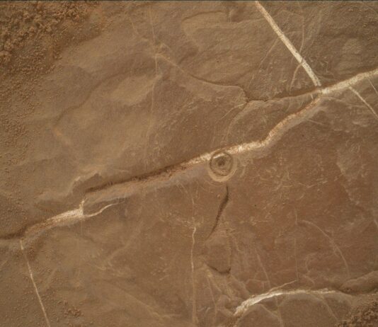 Preparing to Drill at Altadena: Sols 4561-4562 Update A color image from the Martian surface shows a close-up of brownish-orange ground, flat but uneven, with whitish grooves crisscrossing the surface. At center a small, bullseye-shaped indentation has been dug into the rock.