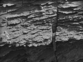 NASA: Volcán Peña Blanca’s Complex Structure Unveiled on Mars A grayscale photo from the Martian surface shows a rocky outcrop rising from sandy ground, all of it medium gray. The rock feature is composed of thin, rough-edged layers, stacked on top of each other, rising from the ground to the top of the frame. The layer at bottom sticks out farther, toward the viewer, and is thicker than the rest and covered in a layer of sand.