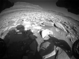 NASA Science: Sols 4491-4492 Highlight Classic Geological Exploration A grayscale, extreme wide-angle image of Martian terrain shows an exaggerated, curved horizon in the distance, where mesas rise from the ground. The entire field between that and the image foreground is covered in rocks of varying sizes poking out of the ground at various angles, with very few patches of flat ground. Many of the rocks are sunlit and very light gray, compared to the medium gray of the soil. Some of the soil in between the rocks appears wavy, as if sculpted by wind or water. Parts of the Curiosity rover are visible, but shadowed, in the four corners of the image, and the rover is casting a shadow covering most of the lower left corner of the image. One wheel is visible at the far right, perched atop a rock in the lower right corner.