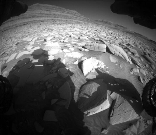 NASA Science: Sols 4491-4492 Highlight Classic Geological Exploration A grayscale, extreme wide-angle image of Martian terrain shows an exaggerated, curved horizon in the distance, where mesas rise from the ground. The entire field between that and the image foreground is covered in rocks of varying sizes poking out of the ground at various angles, with very few patches of flat ground. Many of the rocks are sunlit and very light gray, compared to the medium gray of the soil. Some of the soil in between the rocks appears wavy, as if sculpted by wind or water. Parts of the Curiosity rover are visible, but shadowed, in the four corners of the image, and the rover is casting a shadow covering most of the lower left corner of the image. One wheel is visible at the far right, perched atop a rock in the lower right corner.
