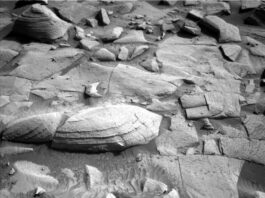 Sols 4493-4494: NASA Science Observes Surroundings A grayscale photograph of the Martian surface from the Curiosity rover captures medium gray soil in front of the rover, wavy in some areas, as if sculpted by wind or water, with rocks everywhere protruding up through it. They are lighter-toned than the ground, some rounded, others looking like cracked, smooth plates. One larger, rounded, light-colored rock stands out, in the center of the image. A part of the rover is visible in the frame, at bottom center.