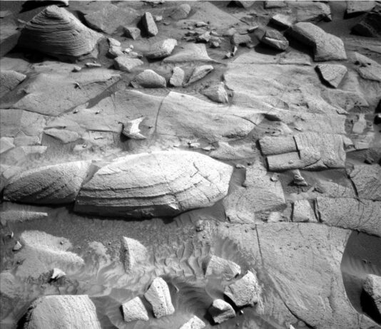 Sols 4493-4494: NASA Science Observes Surroundings A grayscale photograph of the Martian surface from the Curiosity rover captures medium gray soil in front of the rover, wavy in some areas, as if sculpted by wind or water, with rocks everywhere protruding up through it. They are lighter-toned than the ground, some rounded, others looking like cracked, smooth plates. One larger, rounded, light-colored rock stands out, in the center of the image. A part of the rover is visible in the frame, at bottom center.