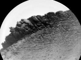 NASA Science: Sols 4495-4497 – Yawning, Perching, Rolling A circular grayscale image from the Martian surface is skewed slightly left, so the horizon line runs from about the 8 o’clock position on a clock face to about 2 o’clock. Gritty, gravelly terrain in the foreground leads to a spiky, ragged outcrop with vertical ridges and grooves rising on the horizon.