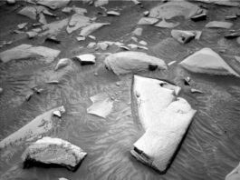 NASA Explores Bedrock and Sand on Sols 4500-4501 A grayscale photograph of the Martian surface from the Curiosity rover captures medium gray soil in front of the rover, wavy in most areas, as if sculpted by wind or water, with rocks everywhere protruding up through it. They are lighter-toned than the ground, some rounded, others looking like cracked, smooth plates. One large, jagged, light-colored rock stands out, in the center of the image. A part of the rover is visible in the frame, at bottom center.