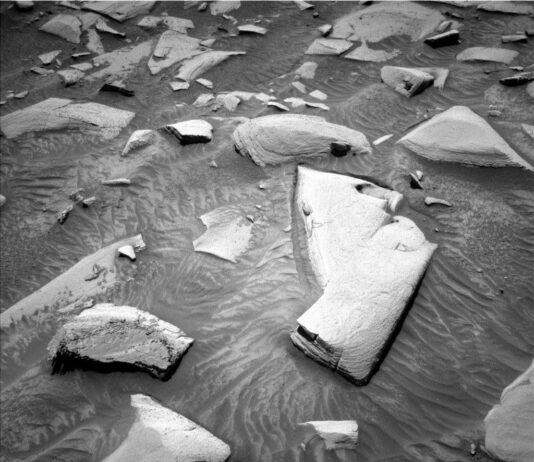 NASA Explores Bedrock and Sand on Sols 4500-4501 A grayscale photograph of the Martian surface from the Curiosity rover captures medium gray soil in front of the rover, wavy in most areas, as if sculpted by wind or water, with rocks everywhere protruding up through it. They are lighter-toned than the ground, some rounded, others looking like cracked, smooth plates. One large, jagged, light-colored rock stands out, in the center of the image. A part of the rover is visible in the frame, at bottom center.